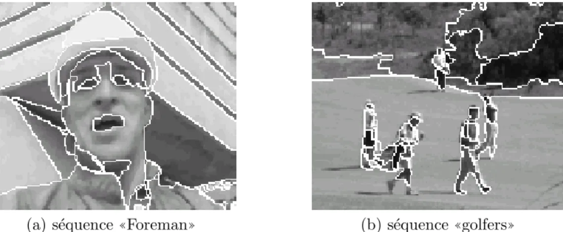 Fig. 1.11 – Segmentations r´ esultantes d’une approche par tube spatio-temporel. Figure extraites de [Parker et al