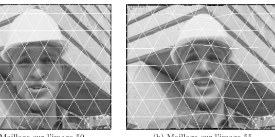 Fig. 3.13 – Illustration de l’estimation de mouvement par maillage actif sur la s´ equence Foreman