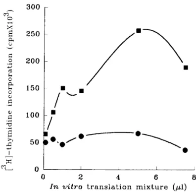 FIGURE 6.  Mitogenic activity of  in virro translated FGF6 peptides.  RNAs transcribed  in  vitro  were used  in  a rabbit reticulocyte  lysate system, in  the presence of  canine pancreatic microso-  ma1 membranes, to translate FGF6 peptides