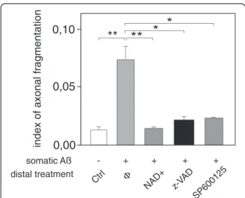 Figure 2 Axonal administration of NAD+, broad-spectrum caspase inhibitor, and JNK inhibitor reduces A β -induced axonal degeneration