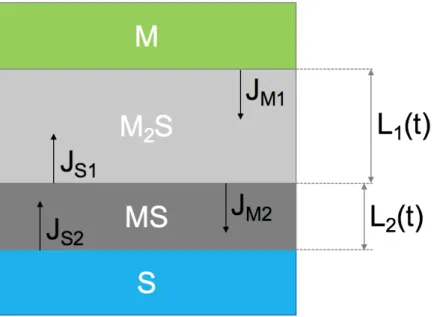 Figure 1.18: Representation of the formation of several compounds, M 2 S and MS.
