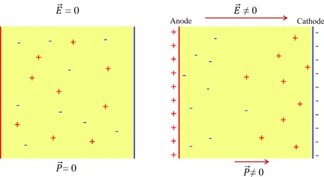 Figure 1.6: Schematic principle of free space charges polarisation event in a dielectric under an electrical field E .
