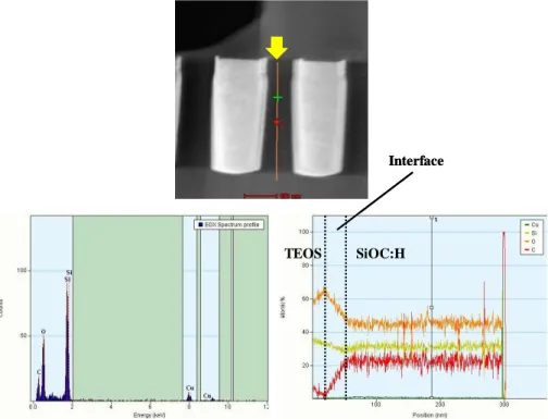 Figure 2.17: TEM view of a cross-section perpendicular to the integrated copper line (top)