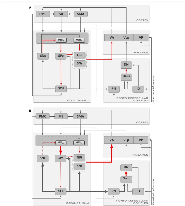 FIGURE 1 | Schematic representation of the main communication pathways between the motor areas, basal ganglia, and ponto-cerebellar complex in (A) health, and in (B) Parkinson’s disease