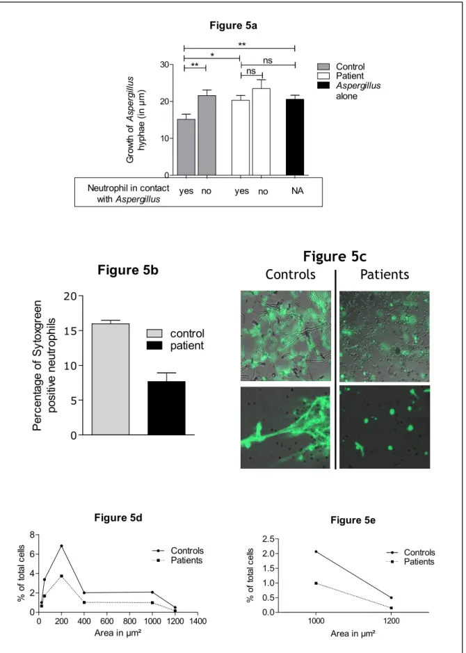 Figure 5d 0 200 400 600 800 1000 1200 140002468ControlsPatients Area in µm²% of total cells Figure 5e1000 12000.00.51.01.52.02.5 ControlsPatients Area in µm²% of total cellsFigure 5a0102030ControlPatient Aspergillusalone***nsns**Neutrophil in contact