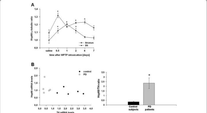 Figure 1 Hsp60 mRNA expression in 1-methyl-4-phenyl-1,2,3,6-tetrahydropyridine (MPTP)-treated mice and Parkinson disease (PD) patients