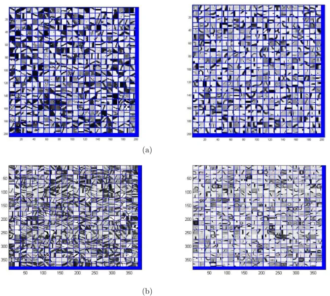 Figure 4.4: A zoom of the trained ditionaries with (a)