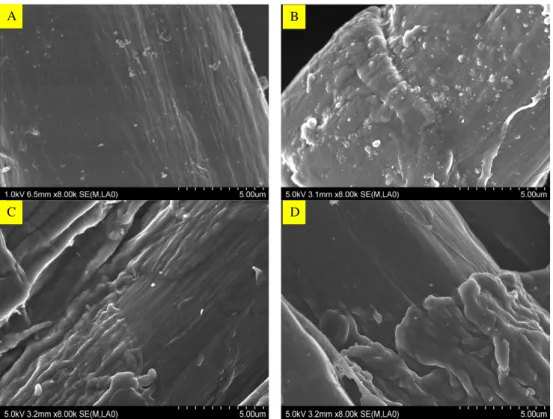 Figure 31: Effet du traitement sur la morphologie de la surface des fibres de chanvre (a) brutes   et traitées (b) 15min, (c) 30min, (d) 40min  