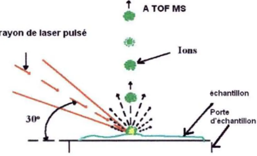 Figure 30. Représentation schématique du principe de la technique MALOI - TOF