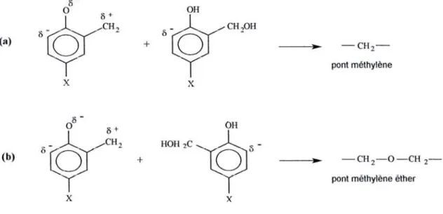 Figure 16. Formation de p-onts de type méthylène ou méthylène-éther à partir d'un intermédiaire issu d'un monoalcool phénolique partiellement substitué.