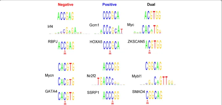 Figure 8 Selected 6-mer motifs from negative, positive or dual T-DMRs containing CpG sites (top), similar binding sites of matched transcription factors from databases JASPAR and UniPROBE (middle), and human transcription factors known to bind in a  methyl