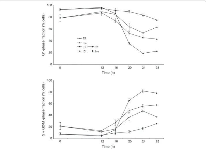 Figure 3 Reinitiation of the cell cycle progression in quiescent cells. Blocking the ER function inhibits the insulin-induced reinitiation of the cell cycle progression