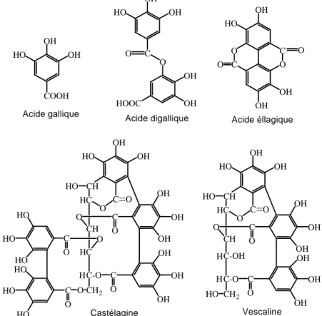 Figure 23 : Structure de l’acide gallique et de ses dimères et de différents   tannins hydrolysables 
