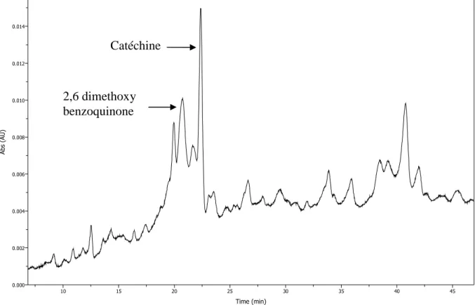 Figure 41 : Chromatogramme des extractibles acétonique du bois de hêtre à 280nm   et séché à 55°C durant 48 heures