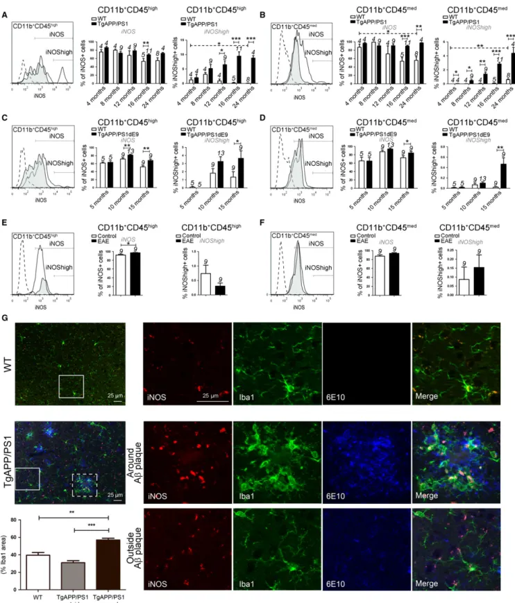 Fig. 5 Analyses of iNOS expression levels in two AD models. iNOS expression on CD11b + CD45 high MDM populations (A, C, E) and CD11b + CD45 med microglia (B, D, F) from WT littermate controls, TgAPP/PS1 mice (A – B), TgAPP/PS1dE9 mice (C – D), and EAE mice