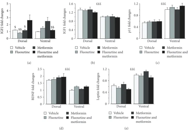 Figure 2: Eﬀects of ﬂuoxetine, metformin, or their combination on expression of genes involved in brain plasticity in the dorsal and ventral hippocampi