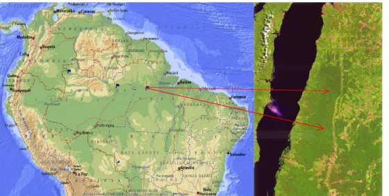 Fig. 1. Map of the Amazon Basin showing location of the National Forest of the Tapaj ´os at 67 km and 83 km.