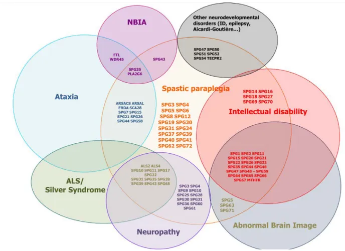 Figure 1. Overview of the clinical and genetic overlap between HSP and other neurodegenerative disorders 