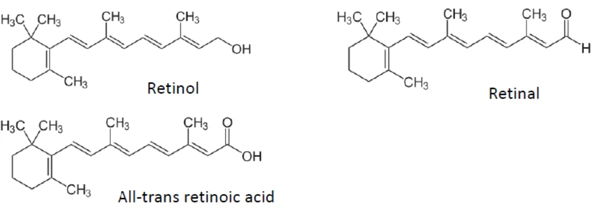 Figure 1. Vitamin A and metabolite structures. 