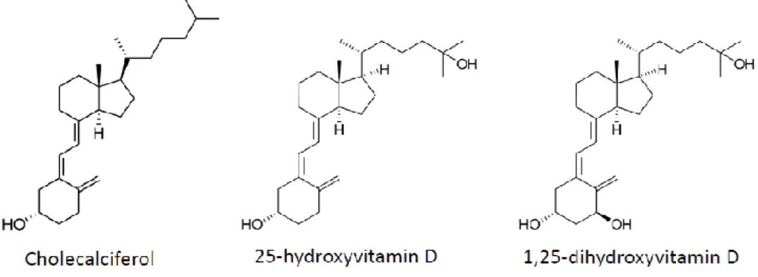 Figure 2. Vitamin D and metabolite structures. 