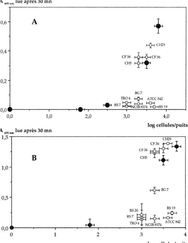 Figure 5 : Spécificité de la technique ACP-ELISA (A)  et AB-ELISA (B), utilisant un  sérum  dirigé contre la souche  Bacillus polymyxa  CF 43, vis  à visdeB.polymyxa  de référence (ATCC  842) ou isolés  de  la rhizosphère du blé (CF36, CF38, CH5,CH29,BG7),