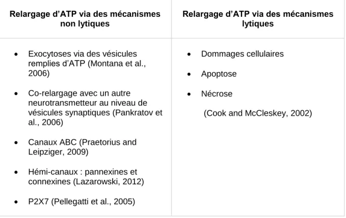 Tableau 3: Processus lytiques et non lytiques permettant le relargage de l'ATP dans le  milieu extracellulaire