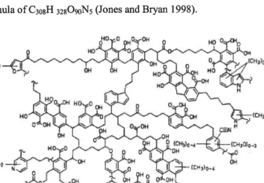 Figure  1.3 State ofthe  art structural  concept ofa  humic acid  (Adaptedfrom  Schulten and Schnitzer 1993)