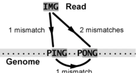 Figure 10. Read mapping and mappability are different concepts: there is no straightforward relation between the number of times a read matches the genome and the mappability of the regions it maps to