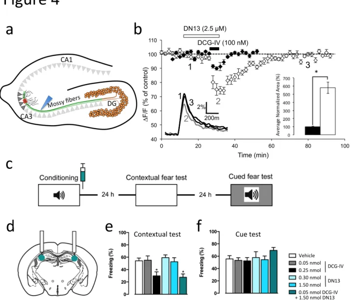 Figure 4: mGlu2 receptors in the CA3 area of the hippocampus control contextual fear consolida@on