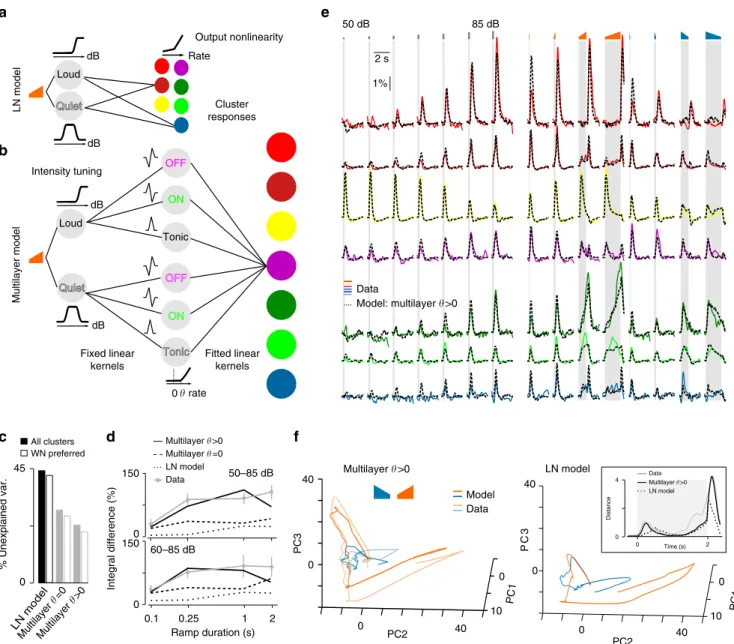 Figure 6 | Phenomenological model of intensity modulation coding. (a) Linear–nonlinear (LN) model (linear ﬁlters þ output nonlinearity) applied to two different ‘intensity channels’ obtained by nonlinear scaling of the input for intensity tuning