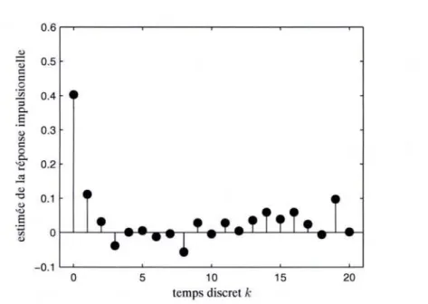 FIG. 1.9 - Exemple d'une estimée de la réponse impulsionnelle entre les commandes de débit.