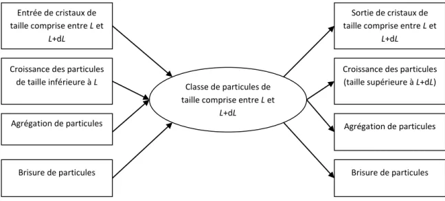 Figure  17 :  Schéma  représentant  les  différentes  contributions  à  la  classe  de  particules  de  taille  comprise entre  L  et  L +d L