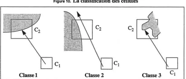 Figure  10.  La classification des cellules 