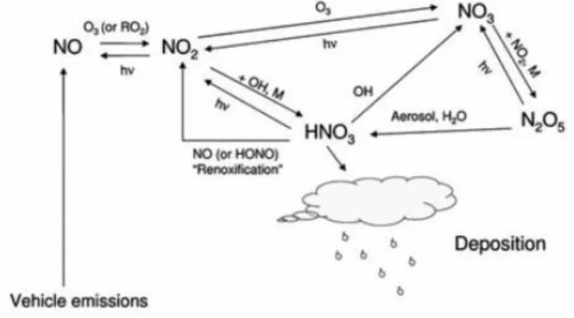 Figure 25 : Mécanisme réactionnel des NOx et de leurs réservoirs (+NOy) dans la troposphère