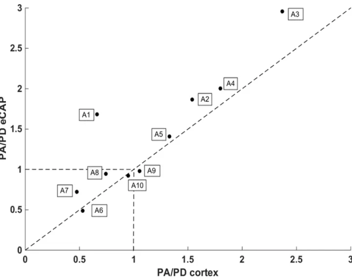 Fig 7. Relationship the PA/PD ratio at the eCAP and cortical level. For each acute animal, the ratio between the eCAP maximum amplitude triggered by the PA and PD strategy was plotted against the ratio between the strength of all cortical responses obtaine