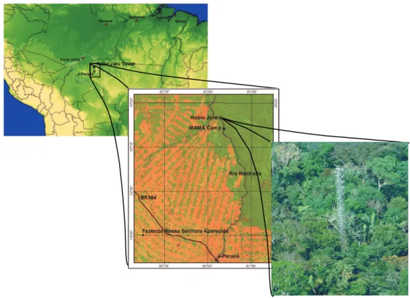 Fig. 1. Map and satellite image (LANDSAT) indicating the location of the LBA-EUSTACH sites, Reserva Biol´ogica Jar´u (RBJ), Fazenda Nossa Senhora Aparecida (FNS), and the IBAMA camp in the state of Rondˆonia/Brazil