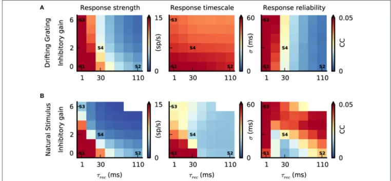 FIGURE 6 | Interplay between push-pull inhibition and feedforward depression. (A,B) Response strength, response timescale and response reliability of simulated V1 simple cells as a function of feedforward depression (τ rec ) and push-pull inhibition (inhib