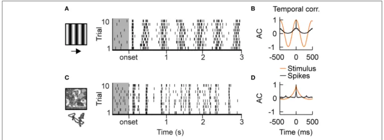 FIGURE 1 | Intracellular recordings of V1 simple cells in vivo. (A) Stimulus driven spiking responses of simple cells in the primary visual cortex (V1) of cat are dense and variable during the presentation of drifting gratings, shown by the raster plot