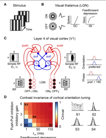 FIGURE 3 | Spiking model of the early visual system. (A) The stimulus was modeled as a sequence of frames presented at 150 Hz (grating stimulus shown here)