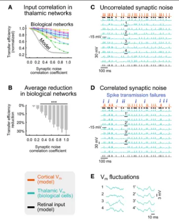 FIGURE 7 | Effect of synaptic noise correlation across TC cells on sensory information transfer