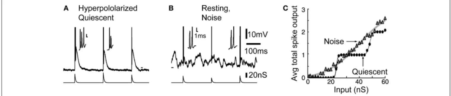 Figure 1E shows that decreasing the strength of the inhibitory conductance results in a leftward shift of the curve and an increase in the cell’s sensitivity to smaller sensory EPSPs (green arrow)