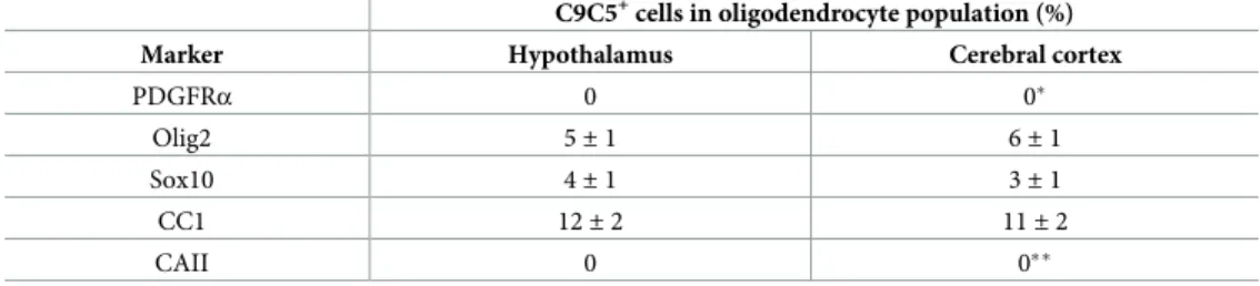 Fig 6. C9C5 immunoreactivity in the mouse hypothalamus across life. (A-F) Immunostaining with the C9C5 antibody on coronal sections of the hypothalamus at P4 (A) (n = 3), P10 (B) (n = 3), P20 (C) (n = 4), and at two (D) (n = 4), nine (E) (n = 3) and twelve