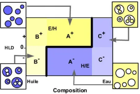 Figure 1.11 Types d’émulsions selon leur localisation dans la carte formulation - composition 