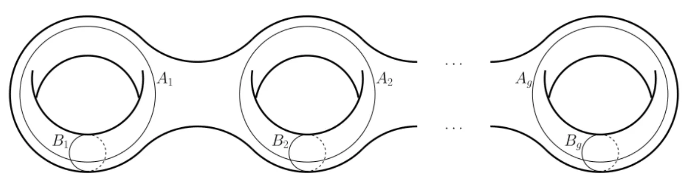 Figure 2.4 – Projection des lacets sur P 1 ( C )