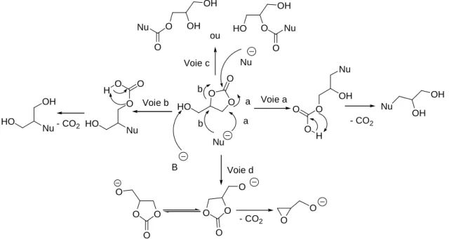 Figure 22.  Différentes voies de réactions possibles du carbonate de glycérol 