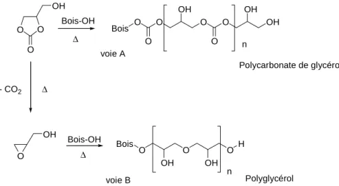 Figure 35.  Polymérisation  in situ  du carbonate de glycérol soit sous forme   de polycarbonatesoit, soit  sous forme de polyglycérol 