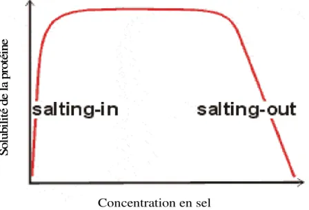 Figure 4. Solubilité de la protéine en fonction de la concentration en sel (Grover and Ryall,  2005).