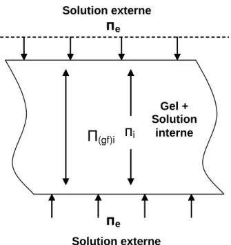 Figure  6.  Diagramme  schématique  indiquant  les  forces  de  transfert  de  masse  dans  la  déshydratation osmotique des gels