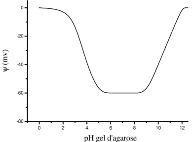 Figure 10 . Potentiel de Donnan ψ en fonction du pH du gel d’agarose. D’après (Fatin-Rouge et al