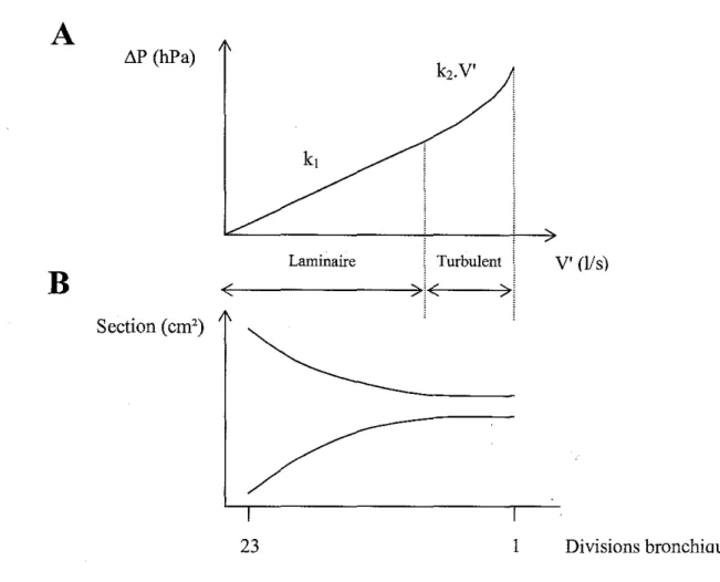 Figure 5: illustration schématique de la relation pression-débit au niveau du système respiratoire